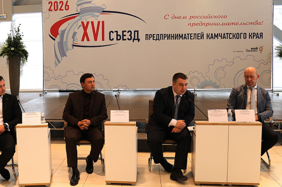 На Камчатке ищут новые пути для строительства коттеджей. Фото: Корпорация развития Камчатского края. Фотография 3